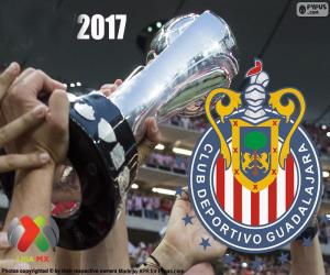 Puzzle ΚΝ Γουαδαλαχάρα, πρωταθλητής Clausura 2017